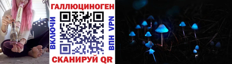 купить   Шумерля  Галлюциногенные грибы Magic Shrooms 