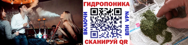 Каннабис марихуана  Шумерля 